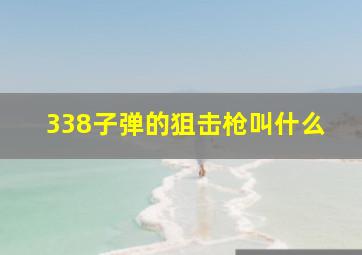 338子弹的狙击枪叫什么