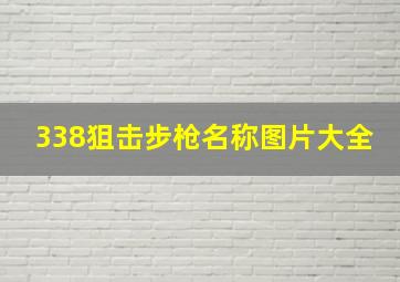 338狙击步枪名称图片大全