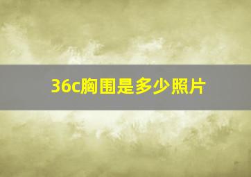 36c胸围是多少照片