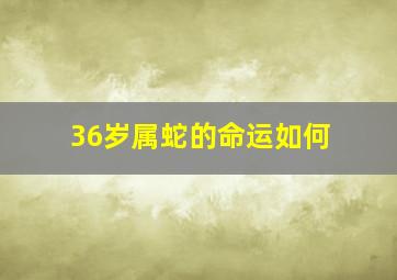 36岁属蛇的命运如何