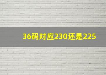 36码对应230还是225