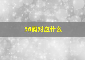 36码对应什么