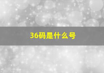 36码是什么号