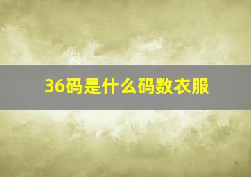 36码是什么码数衣服