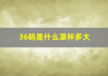 36码是什么罩杯多大