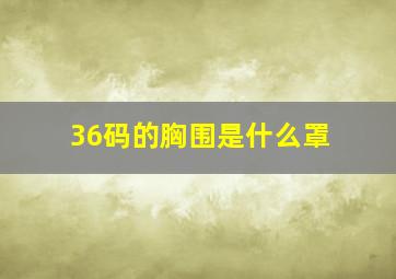 36码的胸围是什么罩