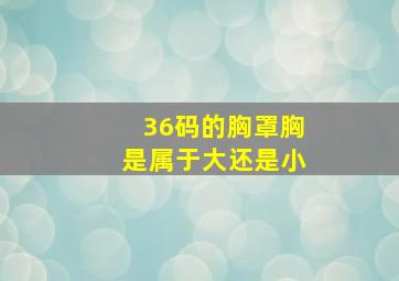 36码的胸罩胸是属于大还是小