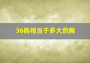 36码相当于多大的胸