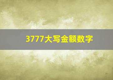 3777大写金额数字