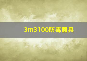 3m3100防毒面具