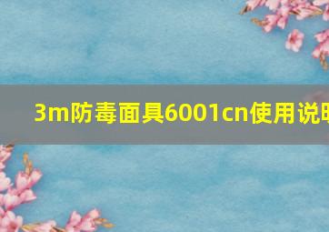 3m防毒面具6001cn使用说明