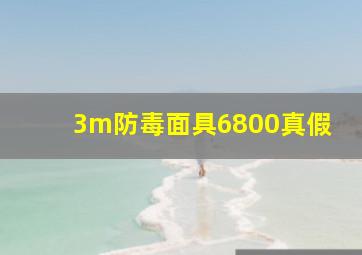 3m防毒面具6800真假