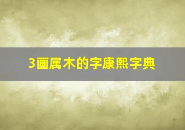 3画属木的字康熙字典