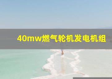 40mw燃气轮机发电机组