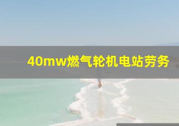 40mw燃气轮机电站劳务