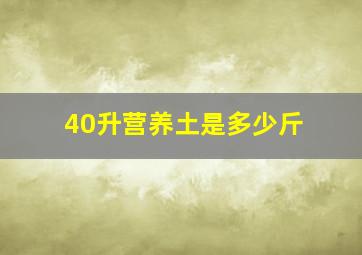 40升营养土是多少斤