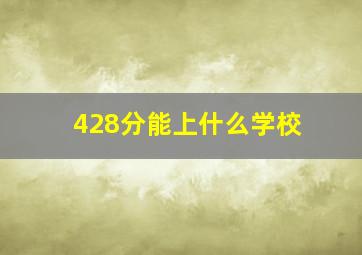 428分能上什么学校