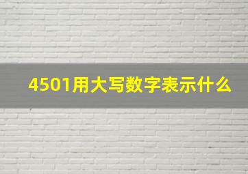 4501用大写数字表示什么