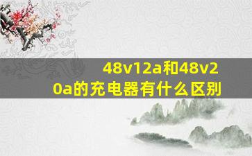 48v12a和48v20a的充电器有什么区别