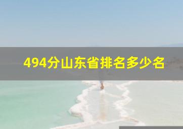 494分山东省排名多少名