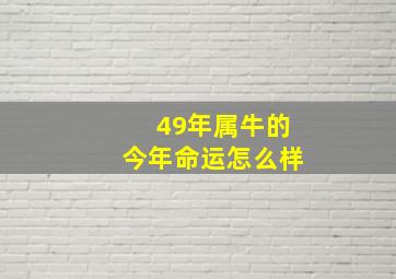 49年属牛的今年命运怎么样