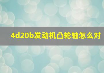 4d20b发动机凸轮轴怎么对