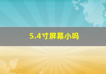 5.4寸屏幕小吗