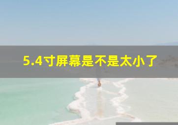 5.4寸屏幕是不是太小了