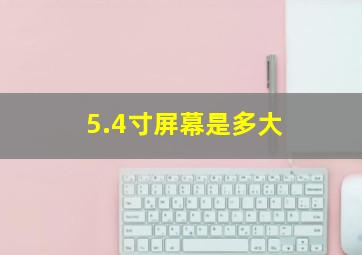 5.4寸屏幕是多大