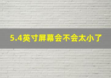 5.4英寸屏幕会不会太小了