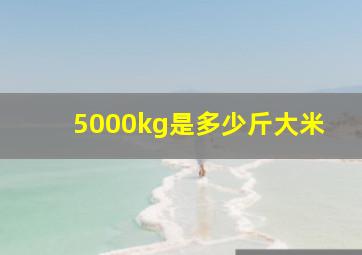 5000kg是多少斤大米