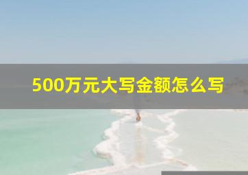 500万元大写金额怎么写