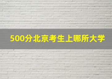 500分北京考生上哪所大学