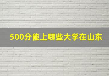 500分能上哪些大学在山东