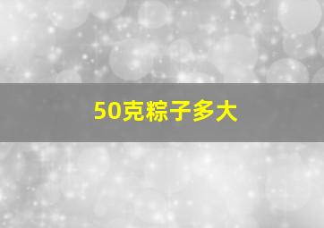 50克粽子多大