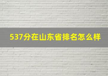 537分在山东省排名怎么样