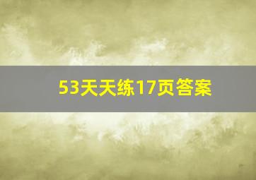 53天天练17页答案