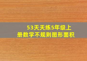 53天天练5年级上册数学不规则图形面积