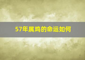 57年属鸡的命运如何