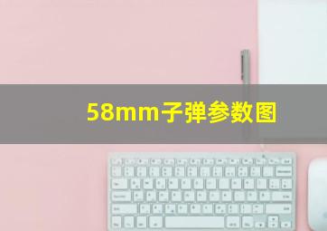 58mm子弹参数图