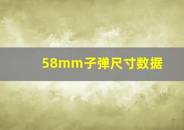 58mm子弹尺寸数据