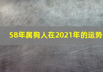 58年属狗人在2021年的运势