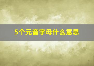 5个元音字母什么意思