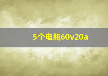 5个电瓶60v20a