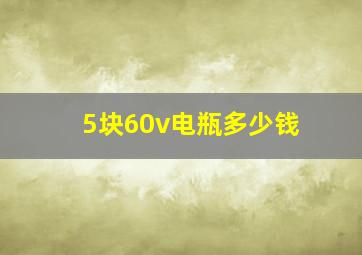 5块60v电瓶多少钱