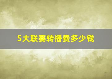 5大联赛转播费多少钱