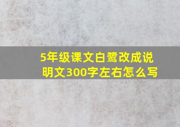 5年级课文白鹭改成说明文300字左右怎么写