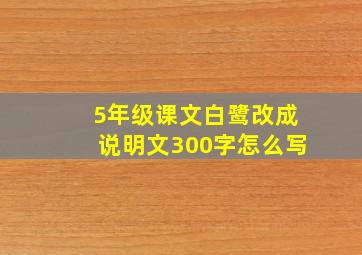 5年级课文白鹭改成说明文300字怎么写