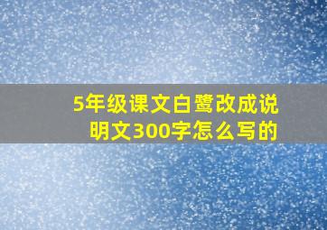 5年级课文白鹭改成说明文300字怎么写的