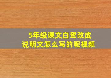 5年级课文白鹭改成说明文怎么写的呢视频